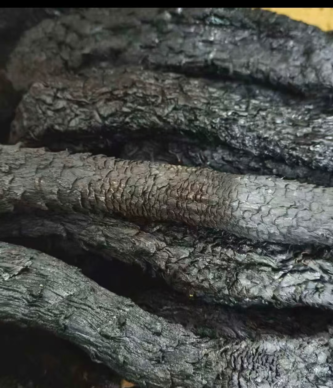 沙漠枭雄熟地【牛牛精选】