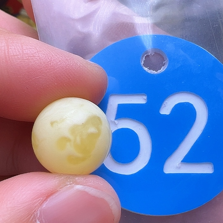 蜜蜡裸石未镶嵌花粉13m m