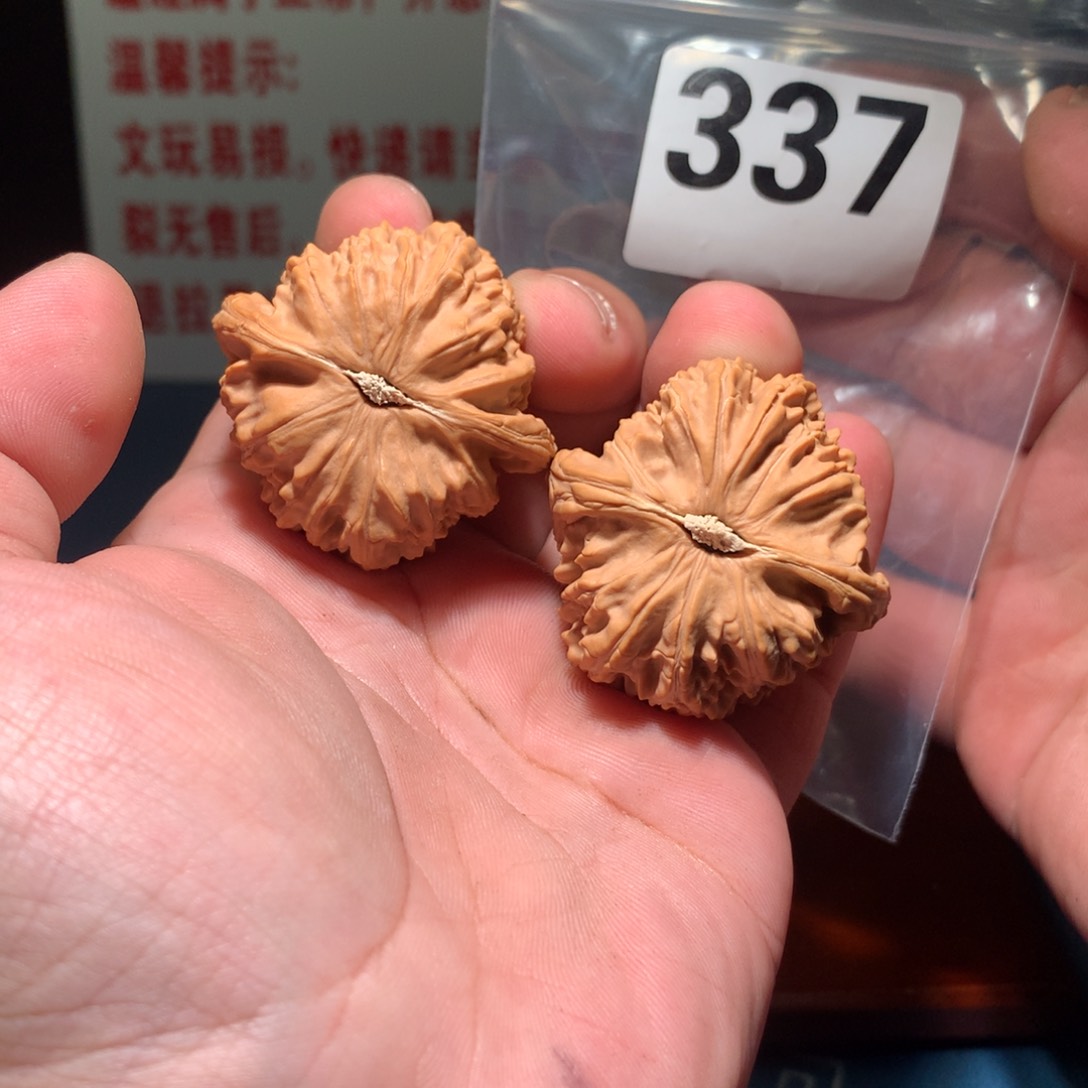 文玩核桃吊坠白狮子 337