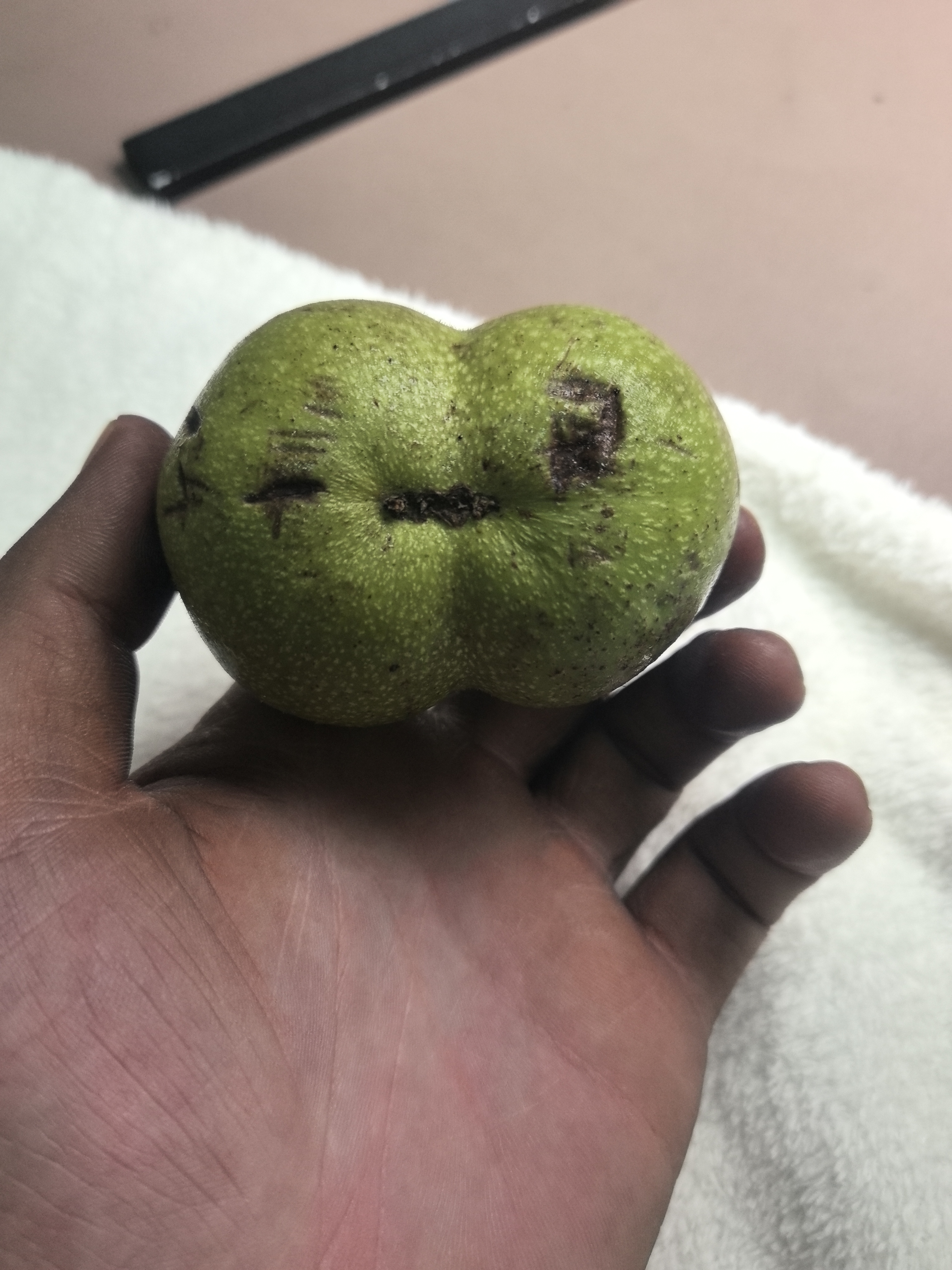 文玩核桃青皮（不退不换）