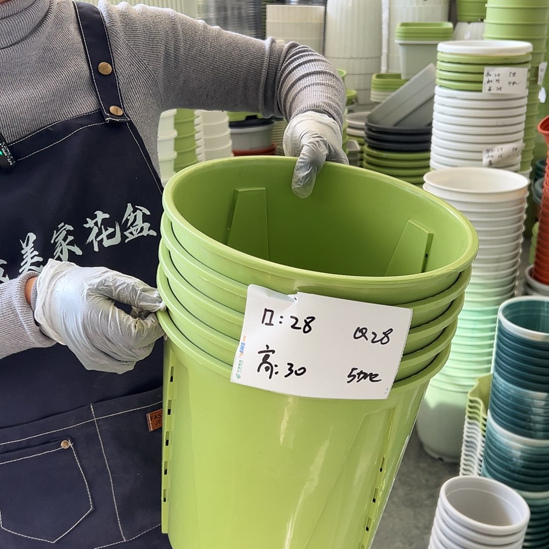 瑕疵Q28#果绿色5个无托