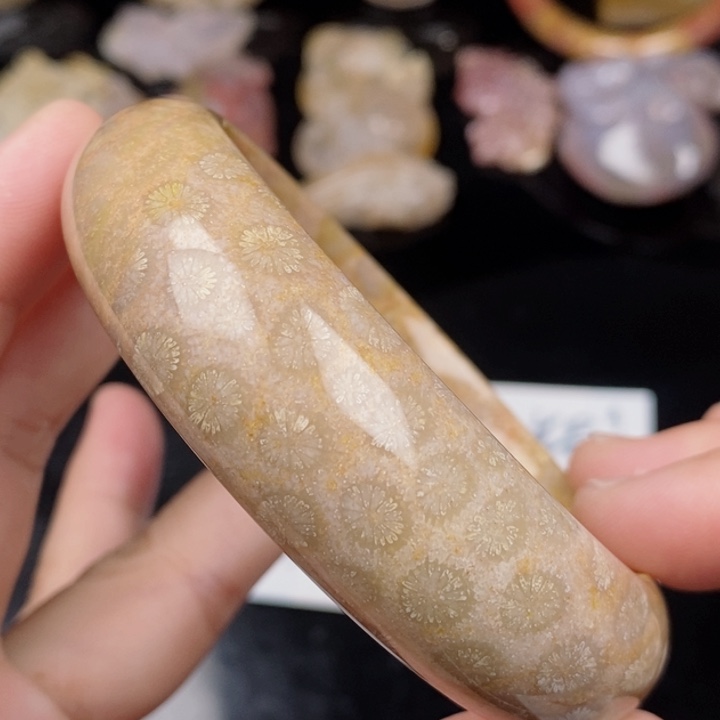 未镶嵌手镯硅化玉60