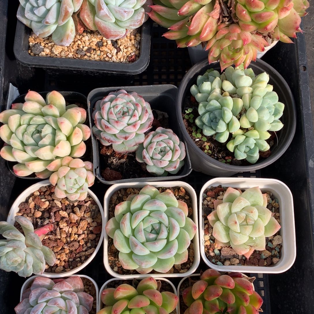 1027-07 套餐一组