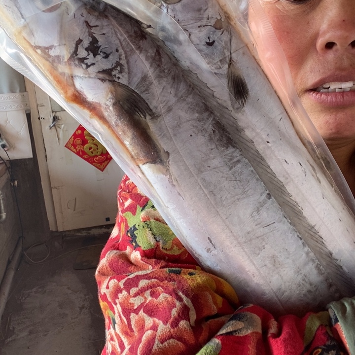 贺***奶中国大陆渤海湾野生刀鱼4.35斤2号3条