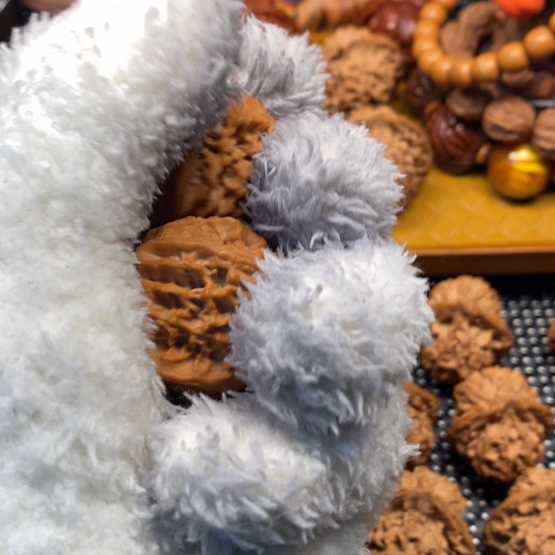 D***u秦岭森林茂密和植被覆盖状况十分