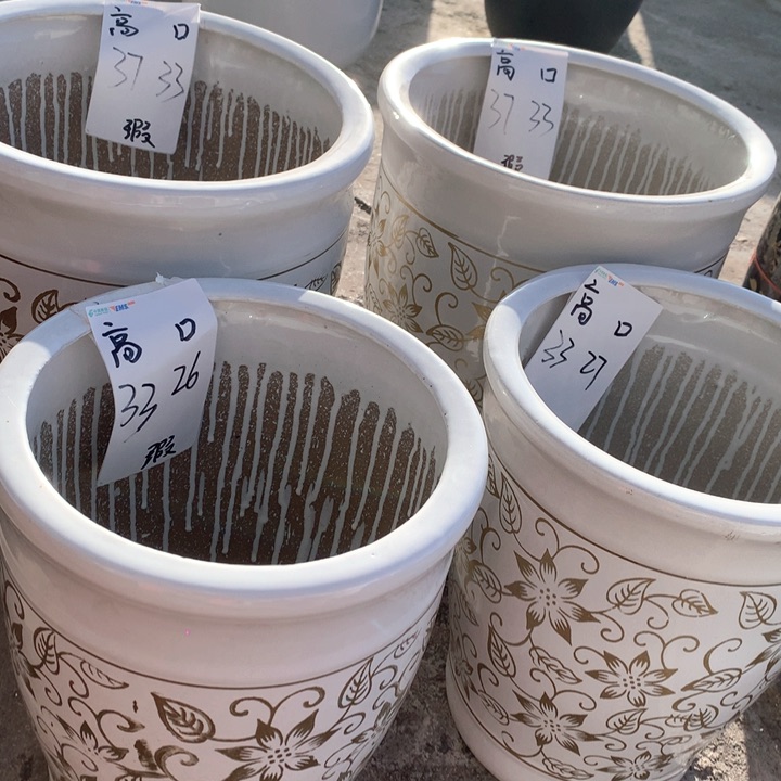 花盆陶瓷白金花两大加两中