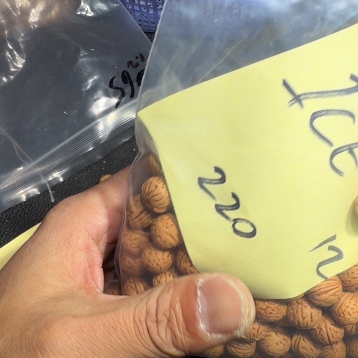 I***️吊坠桃核野生小核桃12