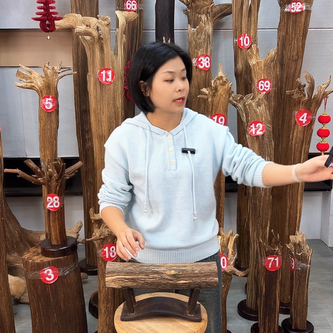 沉香摆件海南沉香摆件