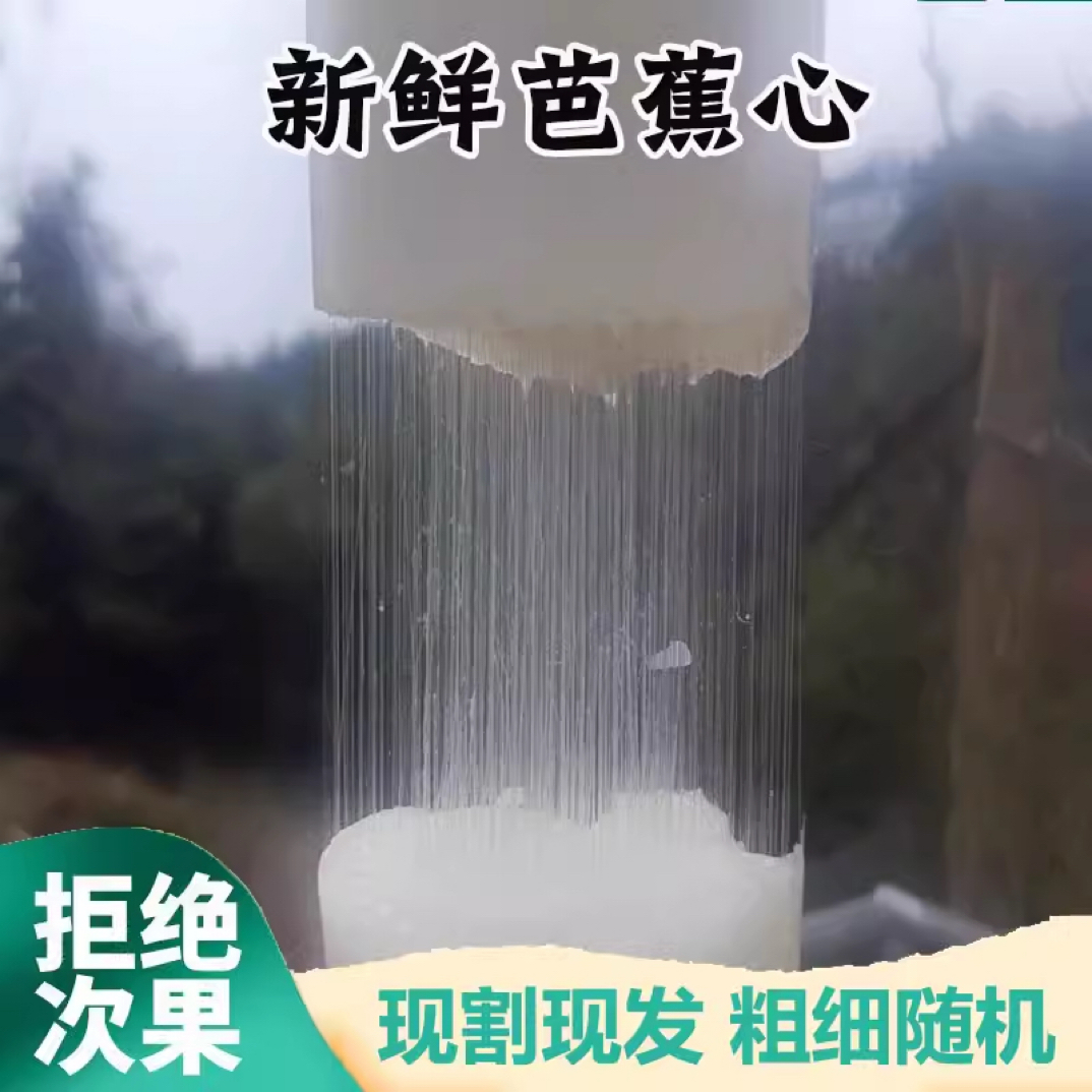 新鲜拉丝芭蕉心拉丝网红直播生吃可食用野生声控吃播食物流量爆款