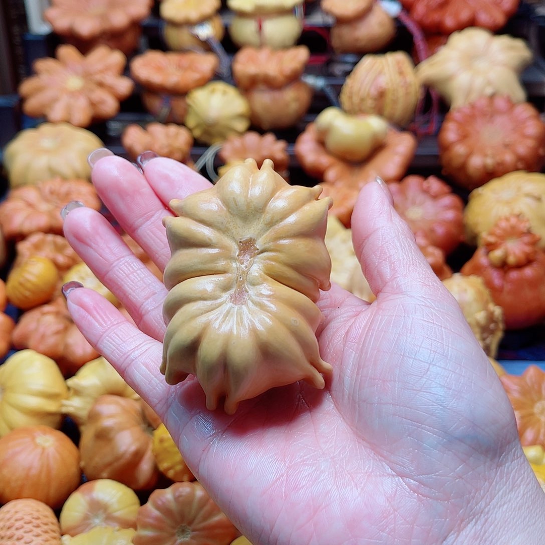 我***吖大叶紫檀（黑酸枝木类）