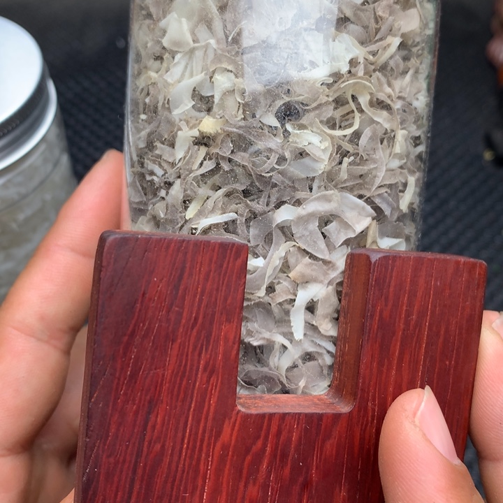 大果紫檀（缅甸花梨）