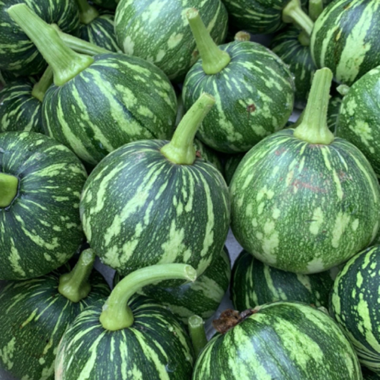 湖南农家本地 老品种嫩南瓜 3斤 粉糯香甜