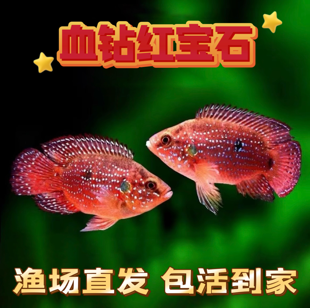 血钻红宝石球 无开箱视频无售后 爽快交易介意勿拍