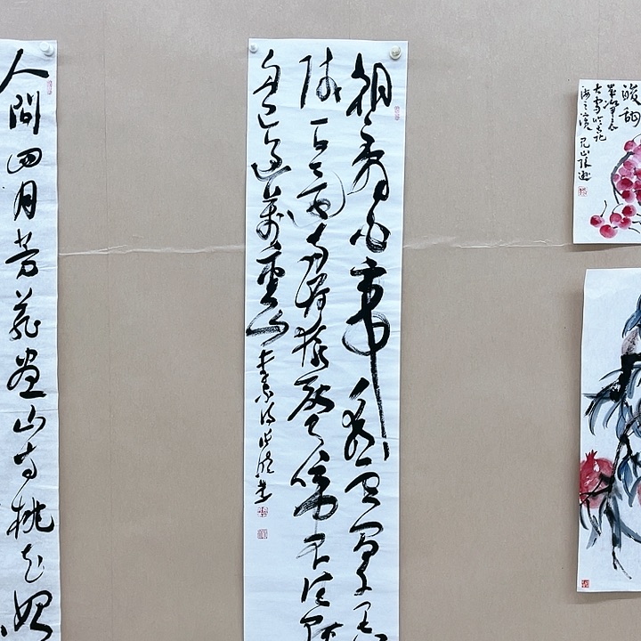 书法张晓燕138*34㎝甘肃LS