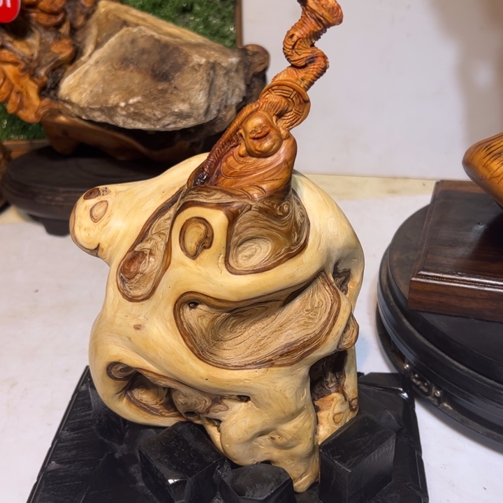 柏木（崖柏）优*我是一只小小鸟地域