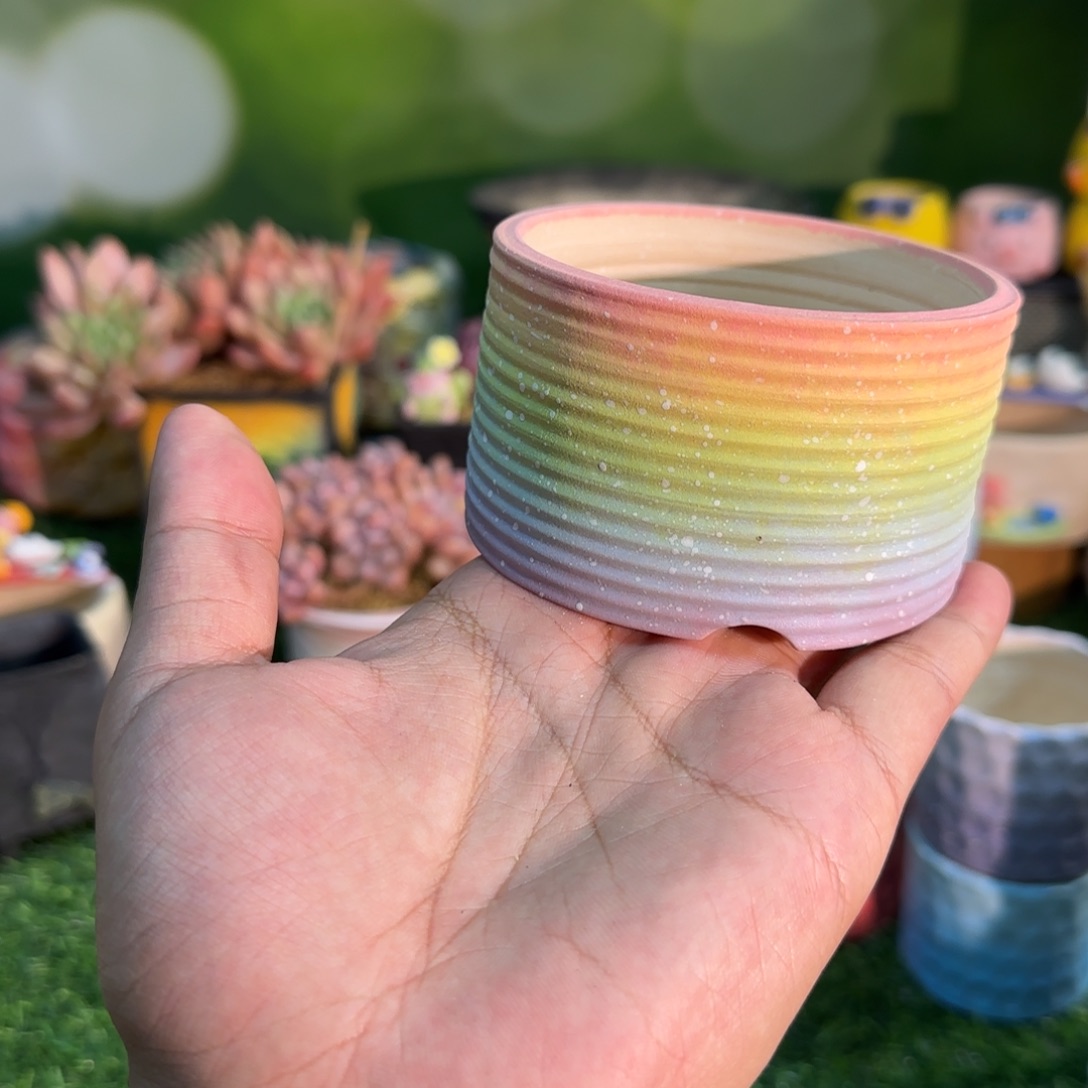 艺***宝凄凄切切地在一起了吗哈哈笑