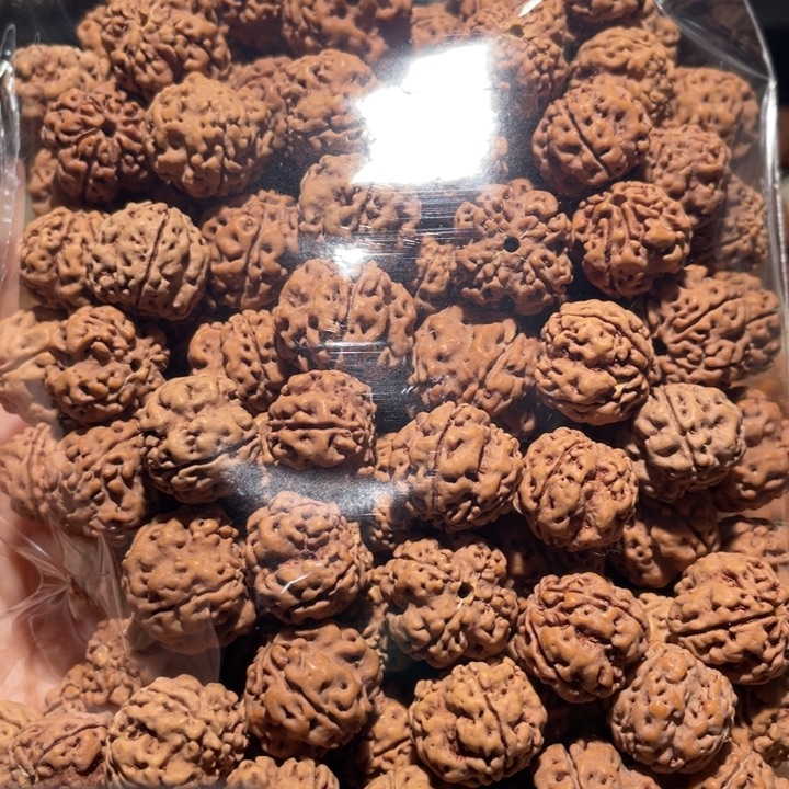 巴***女金刚菩提手串帝王花散籽
