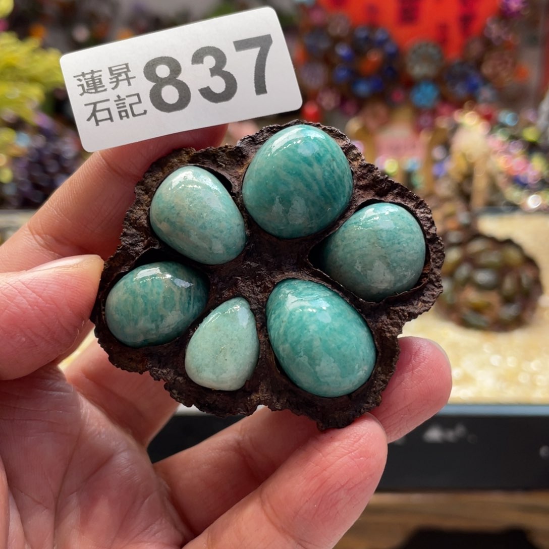 核桃木/黑胡桃（胡桃木）837卡6