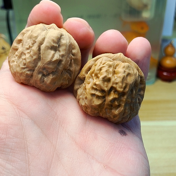 文玩核桃把件伍***祈36 蛤蟆头 黄金甲