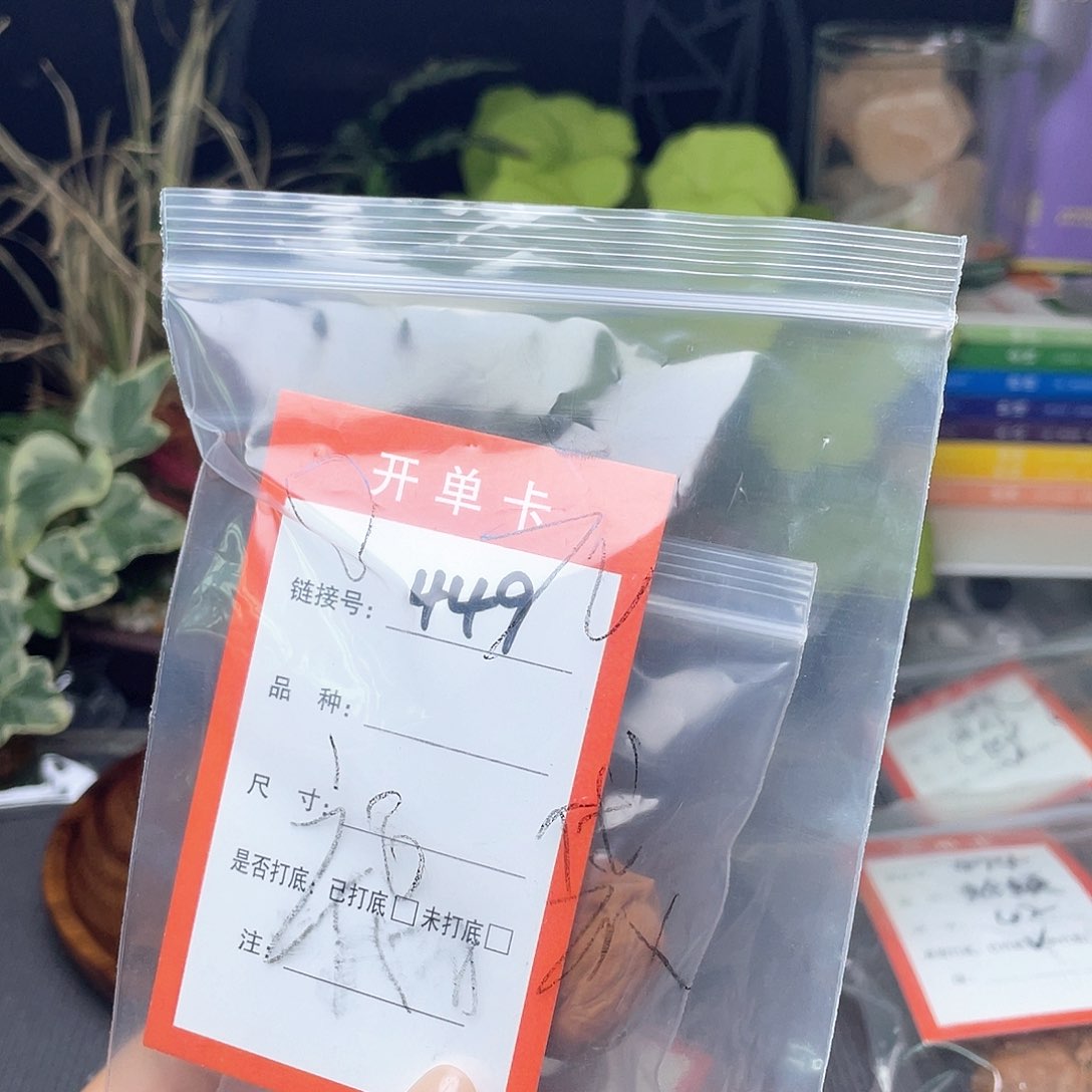 X****。文玩核桃精品～449