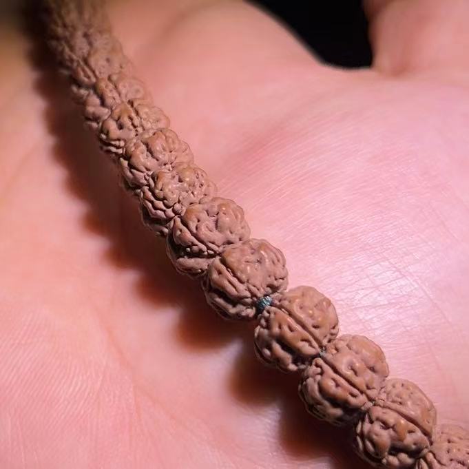 精挑款勿里达老树王手持 精品礼盒包装+配饰