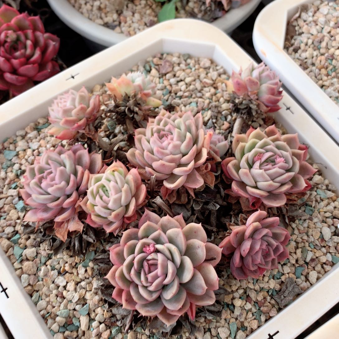 9090不包整散掉头特价处理