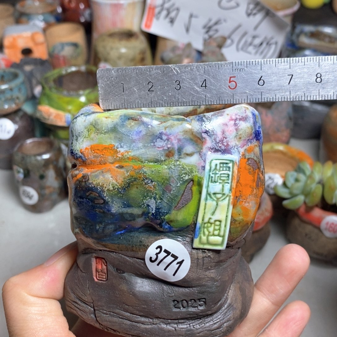 拍5送一个小礼物