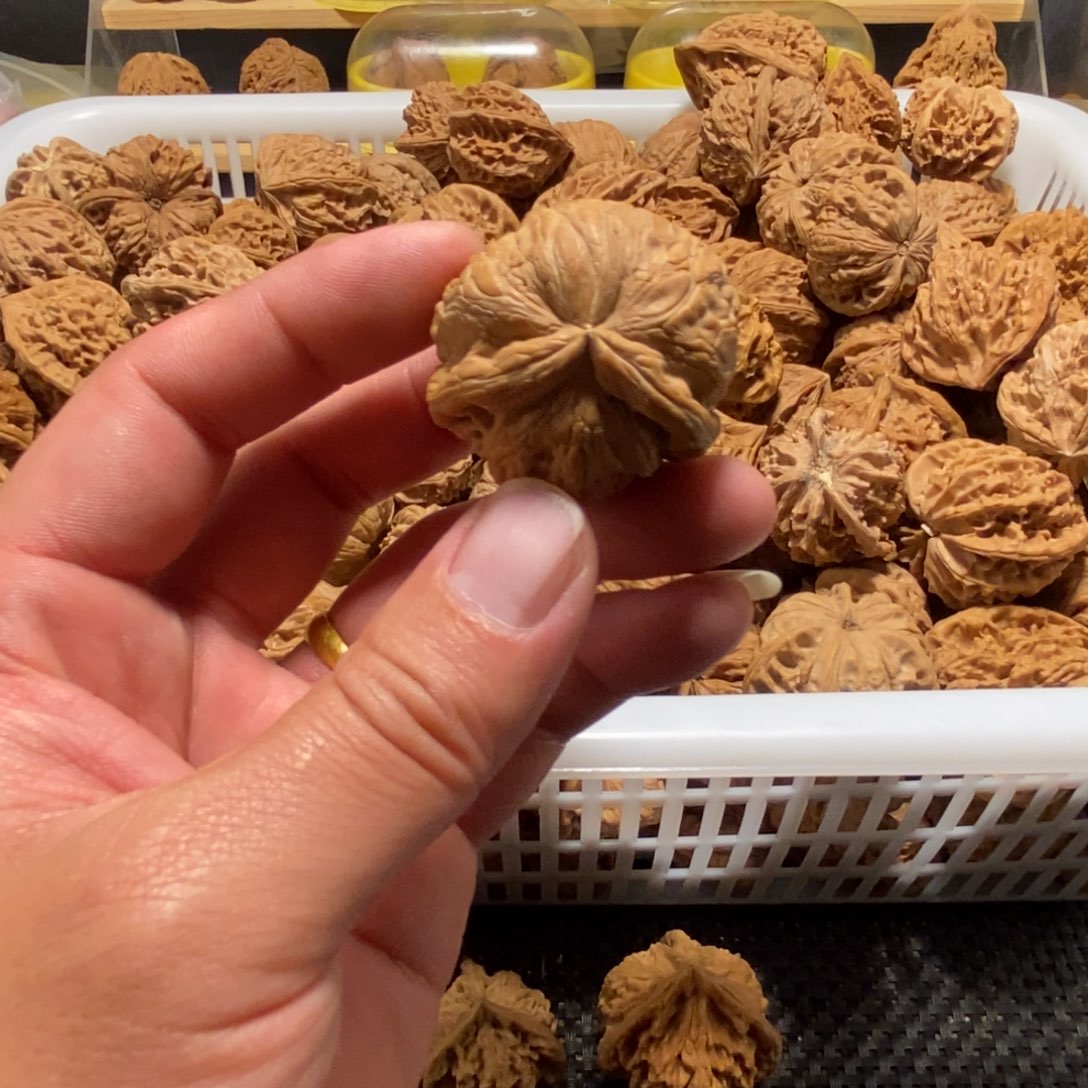 燃***坐核桃异形异形异形
