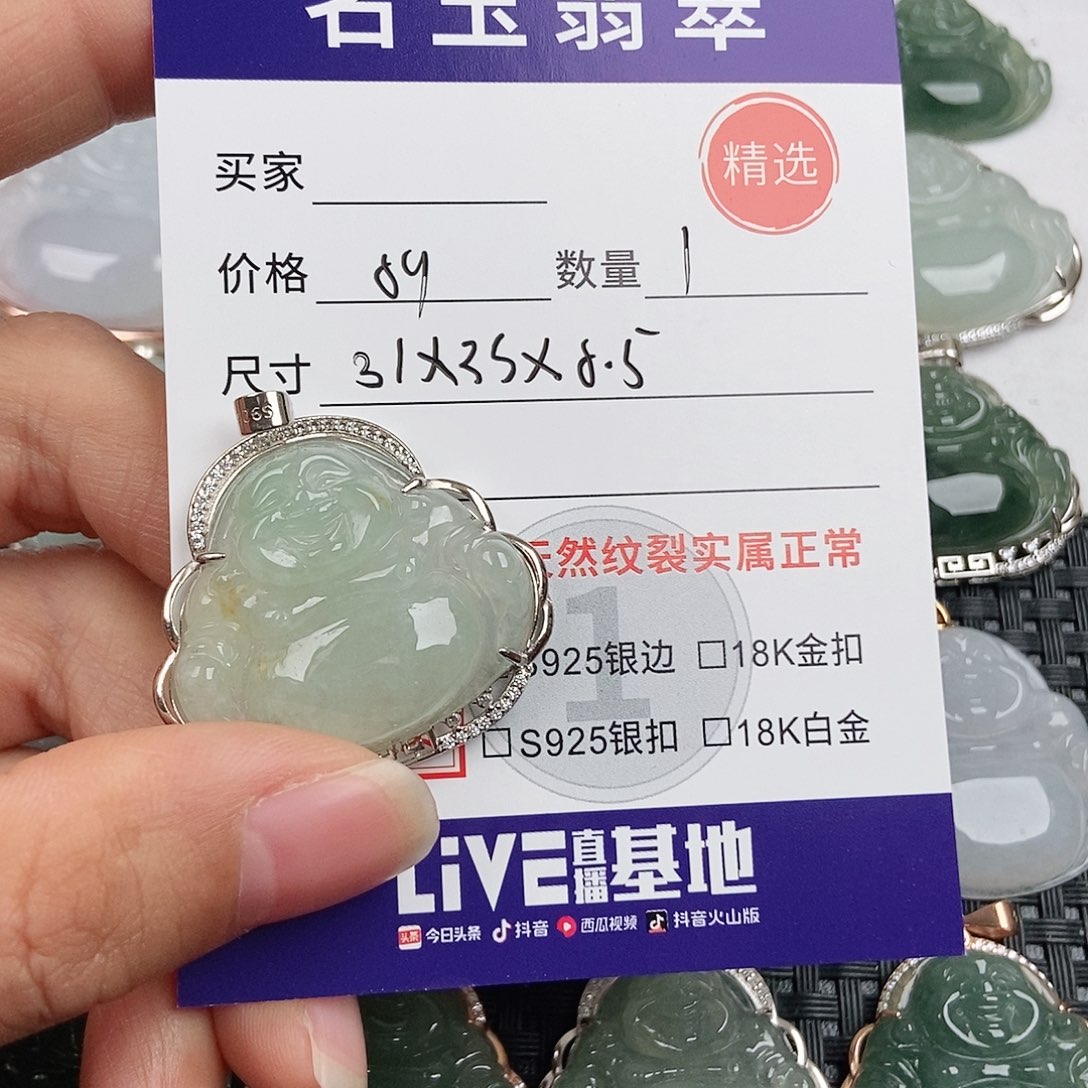 翡翠银S925镶嵌颈饰