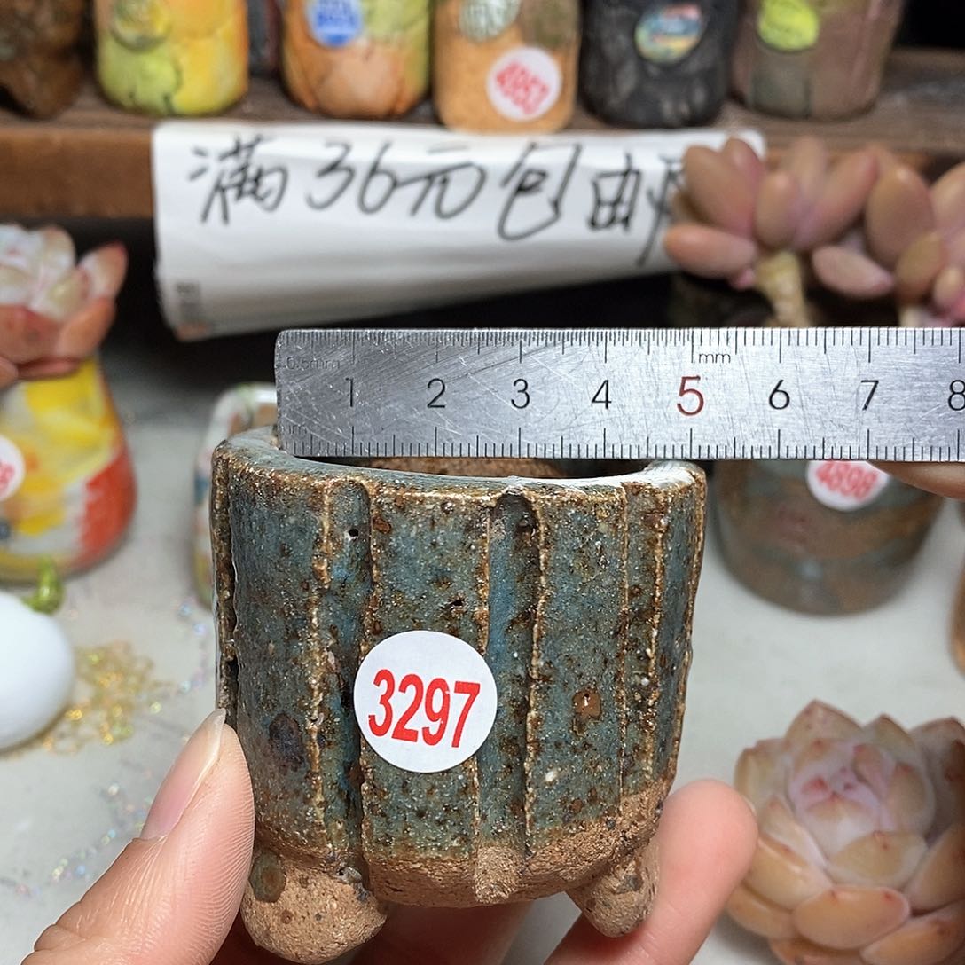 红陶拍5送一个小