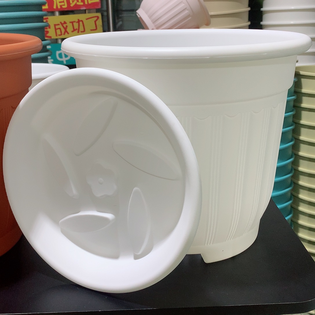 树脂罗马口32白色3个带托