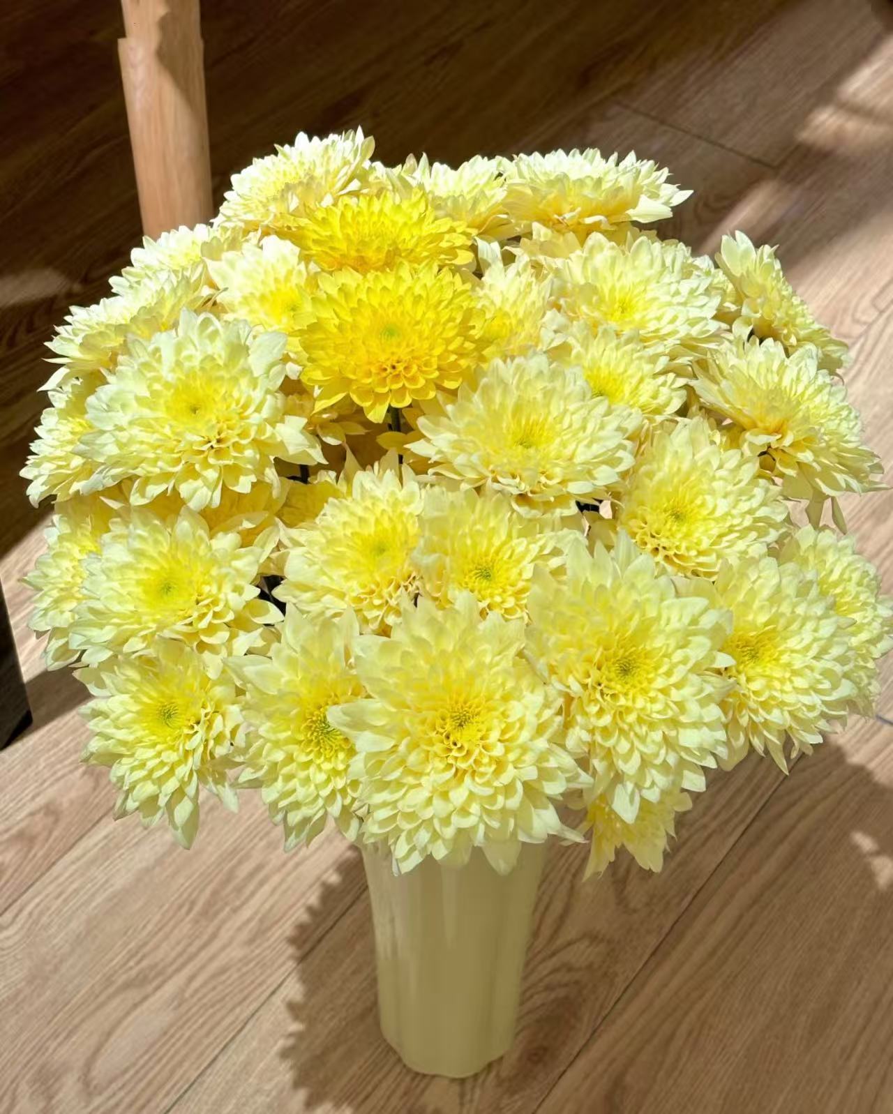 【陌上花开】柠檬提卡-小菊