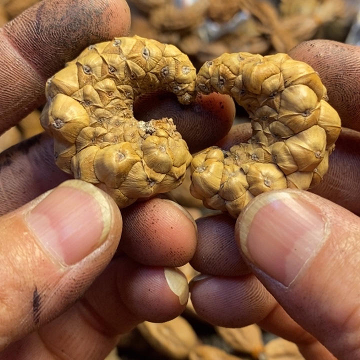 文玩核桃吊坠东北特产246