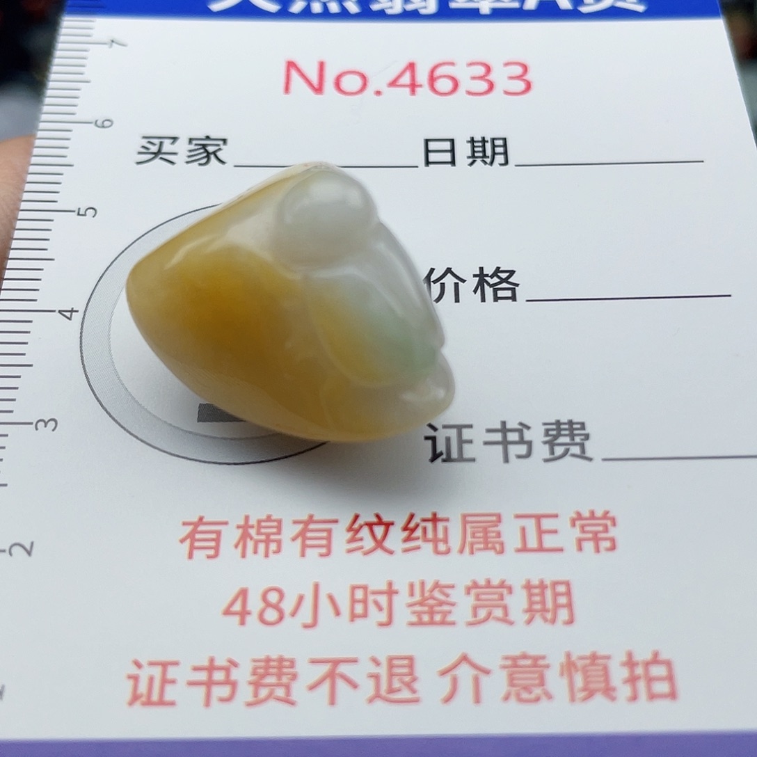 翡翠未镶嵌挂件4633