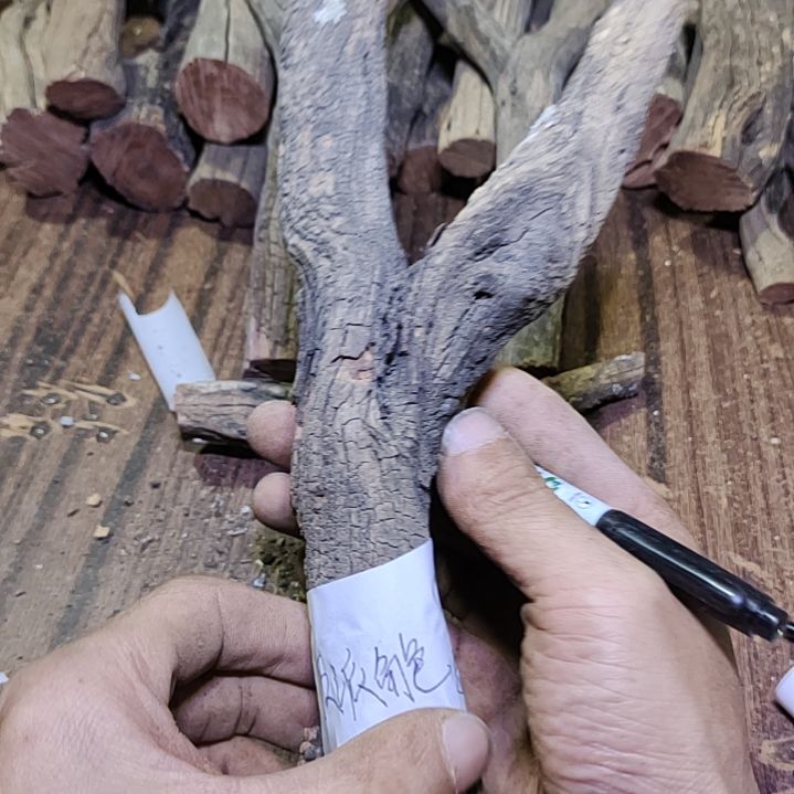 反****火琉璃原杈不保沉水慎拍！