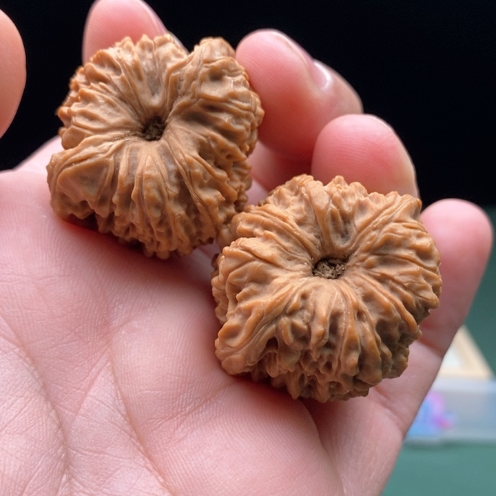 文玩核桃把件36尺全品凹底留疤南将石