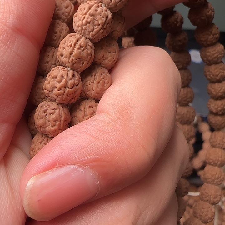 余***生吊坠金刚菩提一代龙一等籽