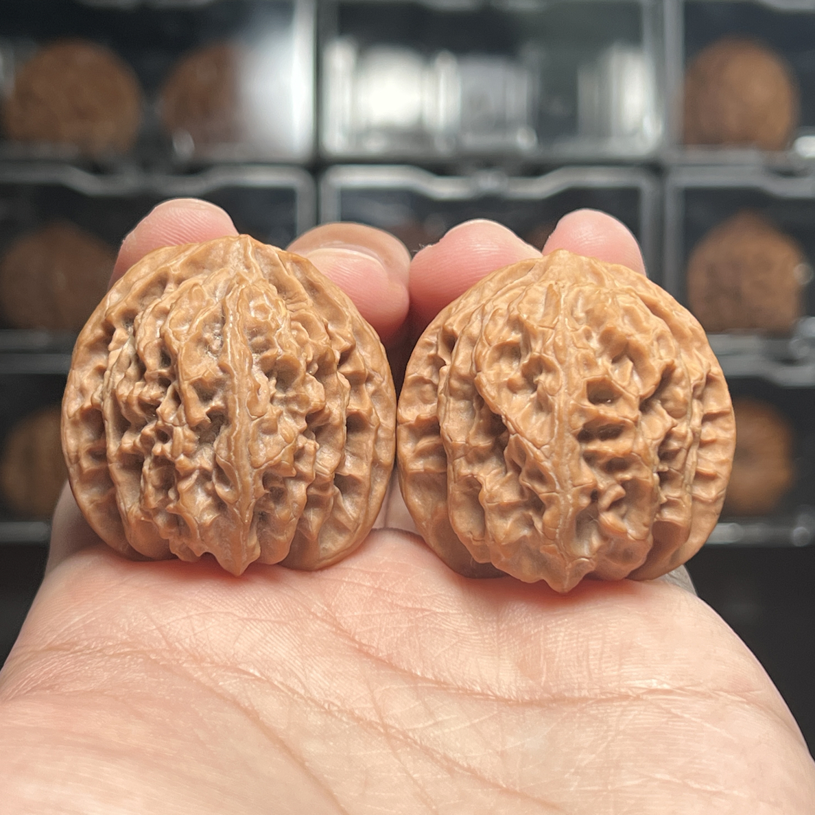 【今日福利】37尺全品苹果圆四面正