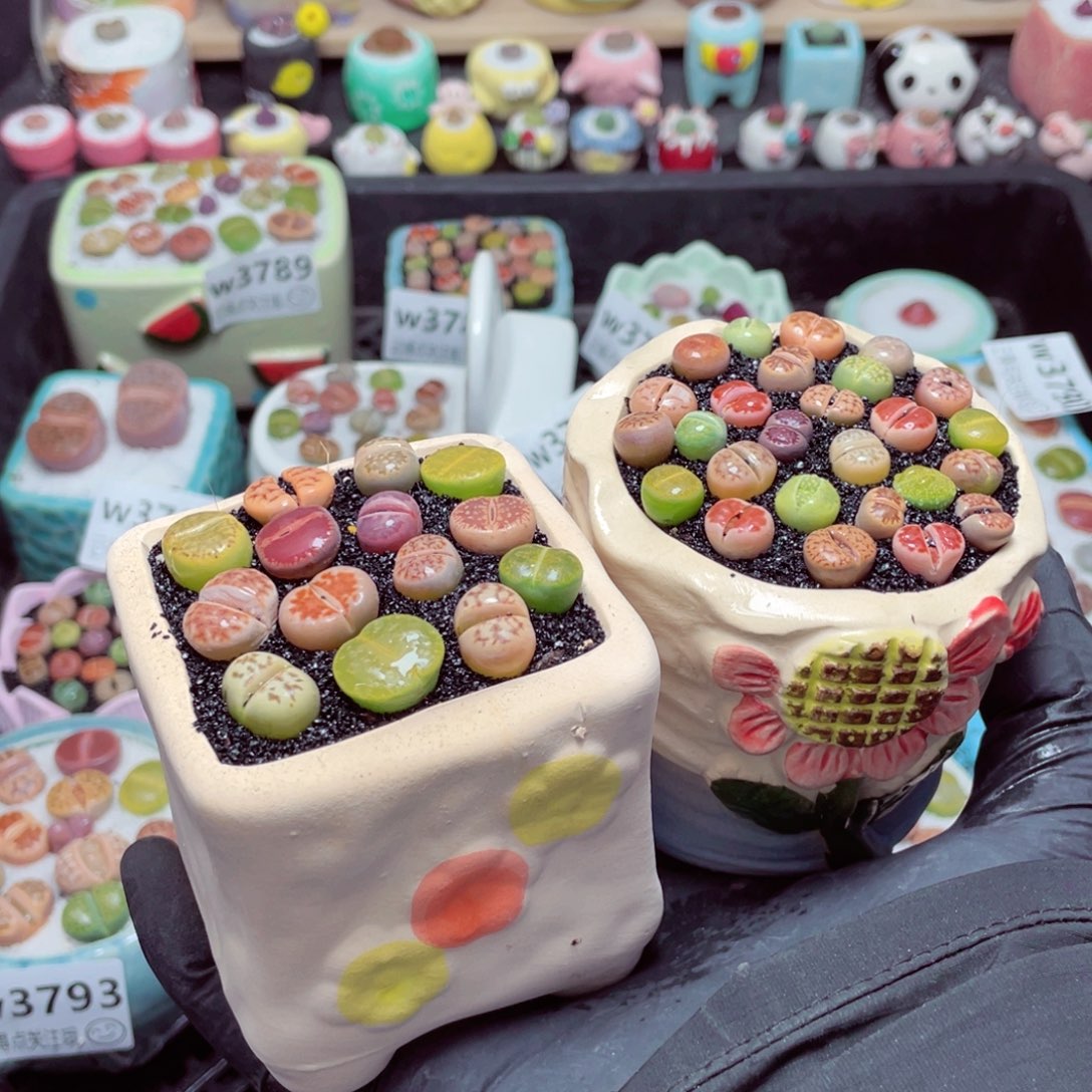 w3800--带盆土发货，零下地区拍保温箱