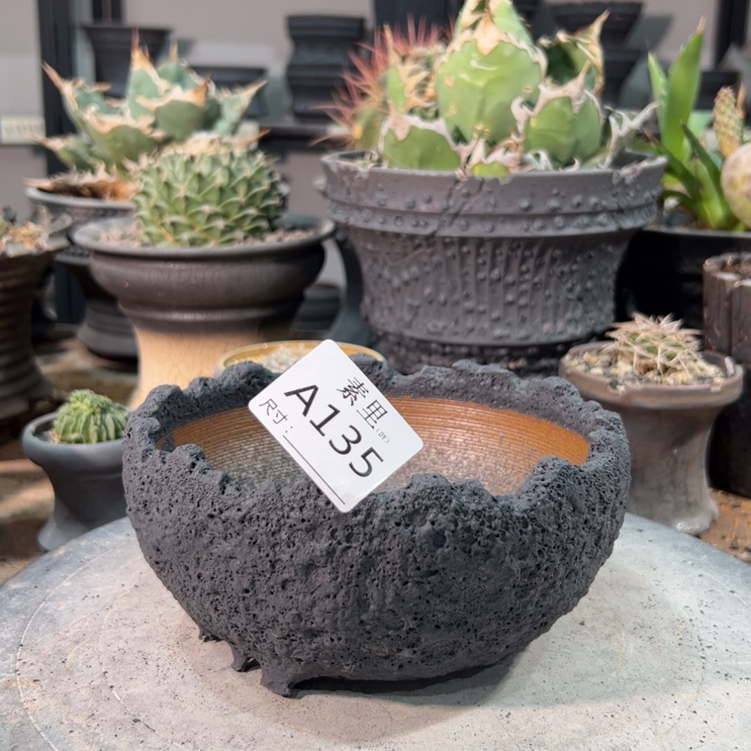 景德镇手工素里内口14.5高7.5