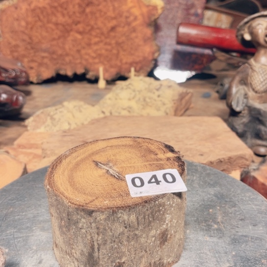 大果紫檀（缅甸花梨）