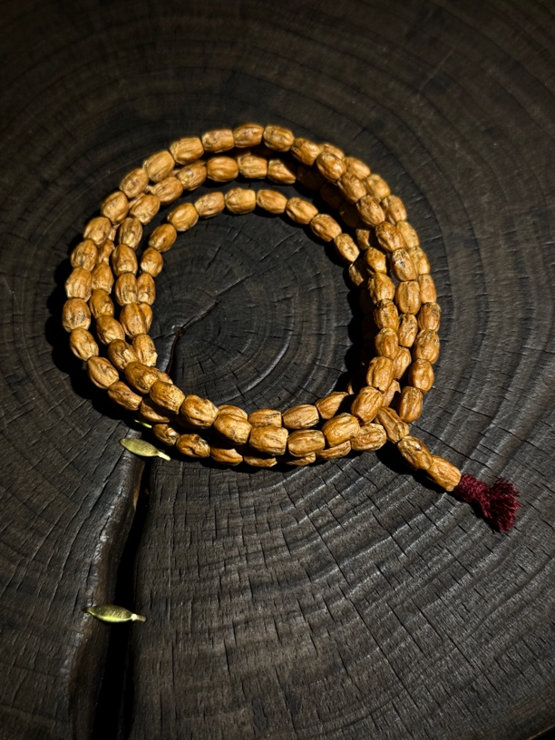 |柏香籽|百香籽|文玩|长腿5➕