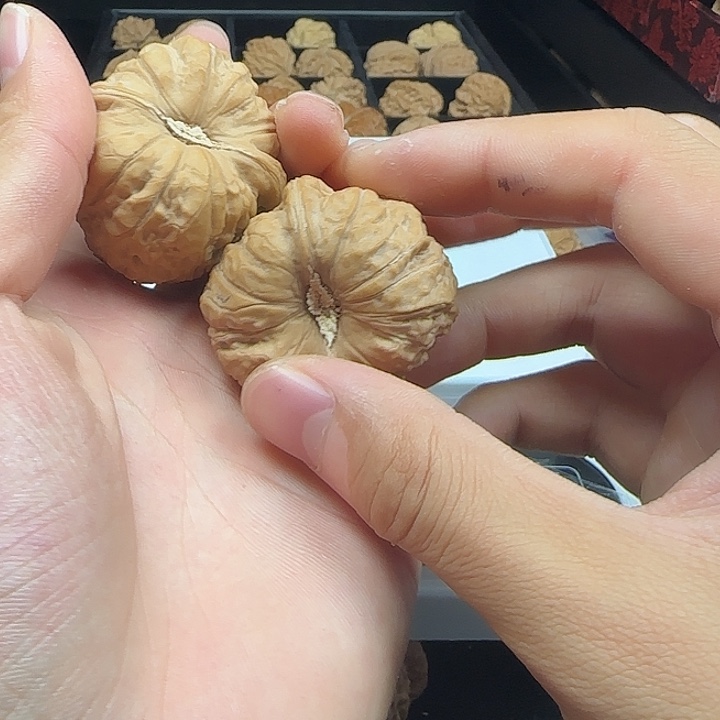 小***、吊坠龙脊菩提啊啊啊啊啊啊啊南瓜7