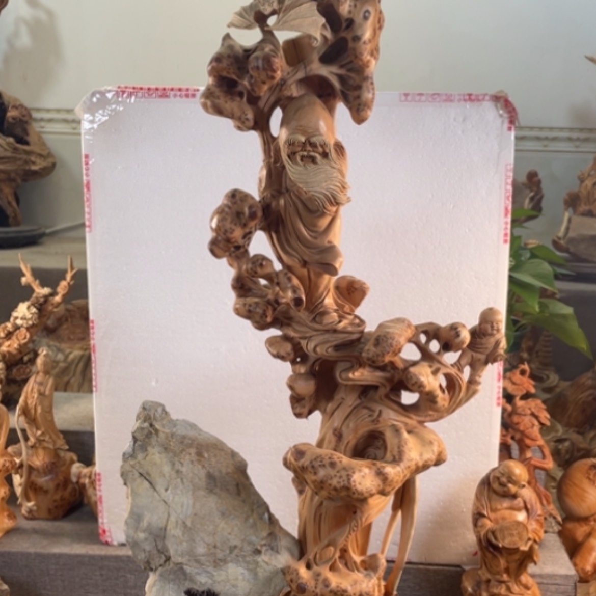 【闪购商品】柏木（崖柏）丁**贝崖柏工艺品摆件