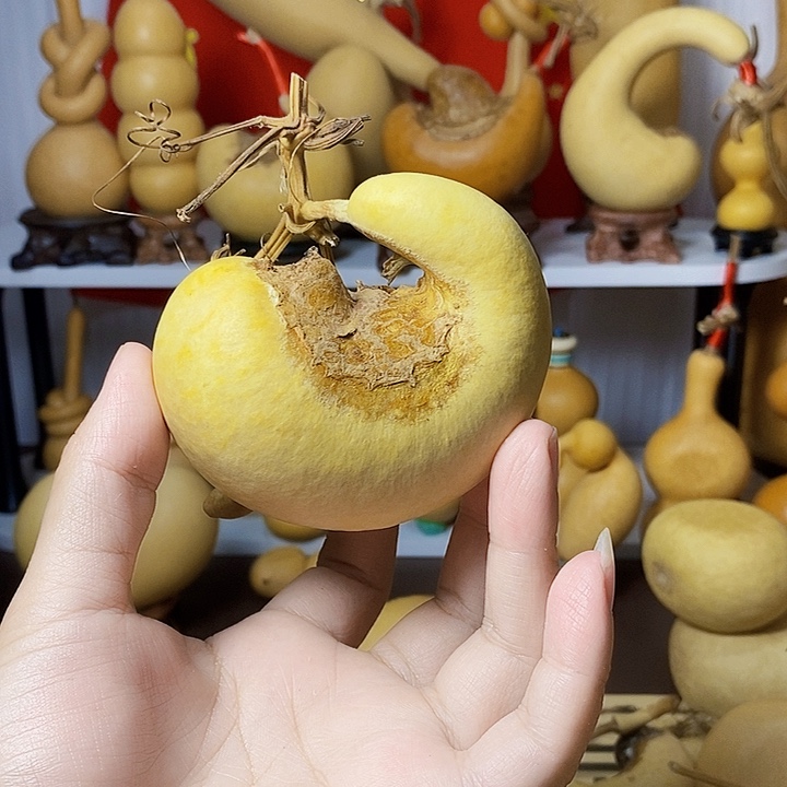 老***老腰子葫芦到家发发发
