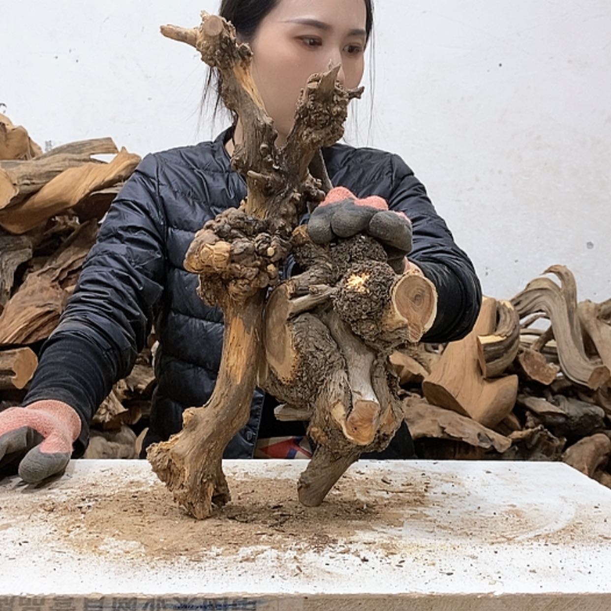 【闪购商品】柏木盛****生我们都是好孩子