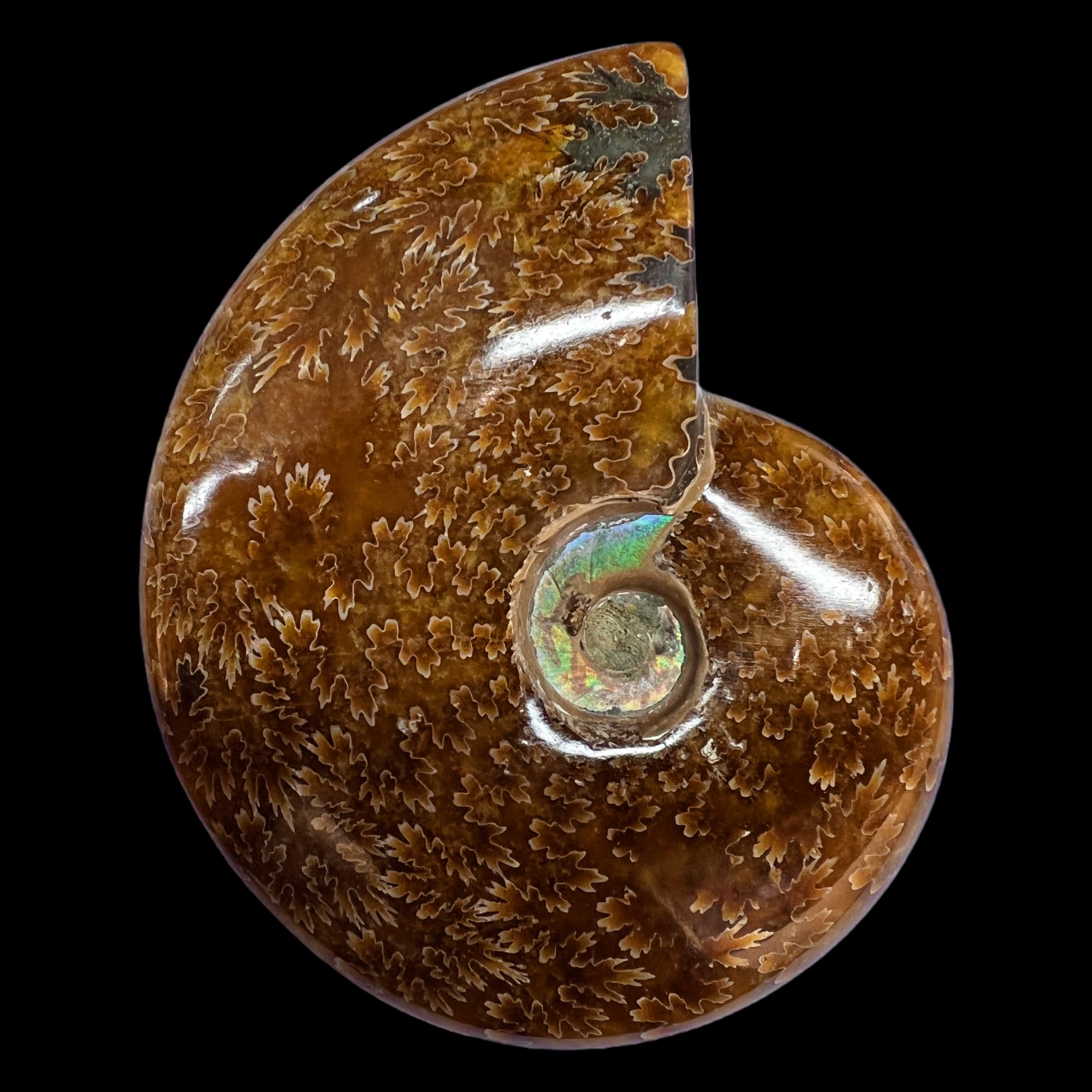 【 叶菊石（  把件 ）】100.9mm 玉化 马达加斯加 N-50  创意饰品 B80