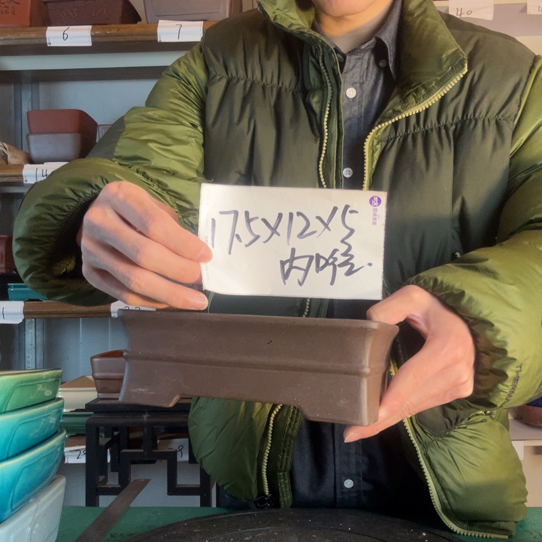 规范的调查复古印花个v
