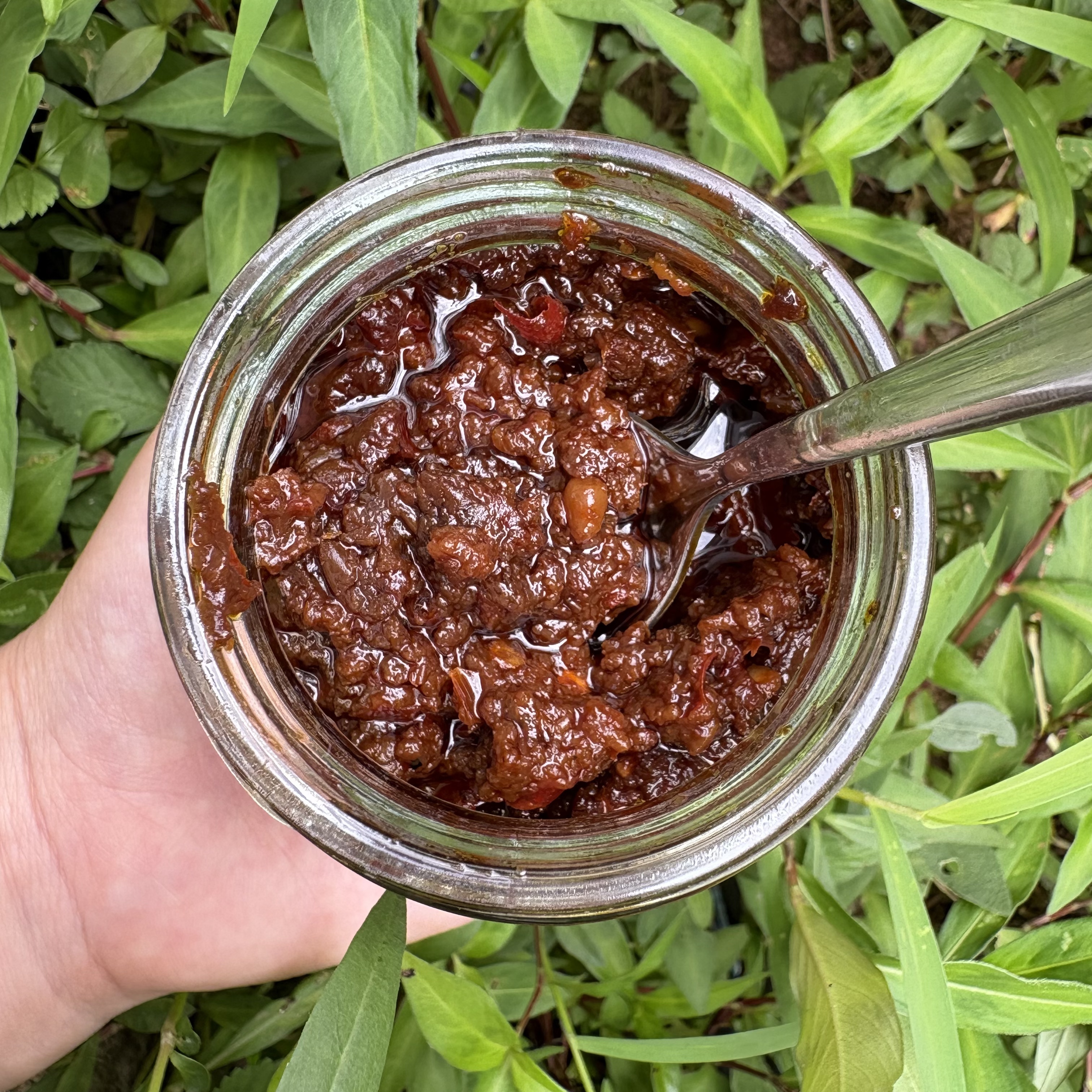 【麦子酱】慈利特产土家麦酱 0添加土家风味晒制老味道张家界湖南