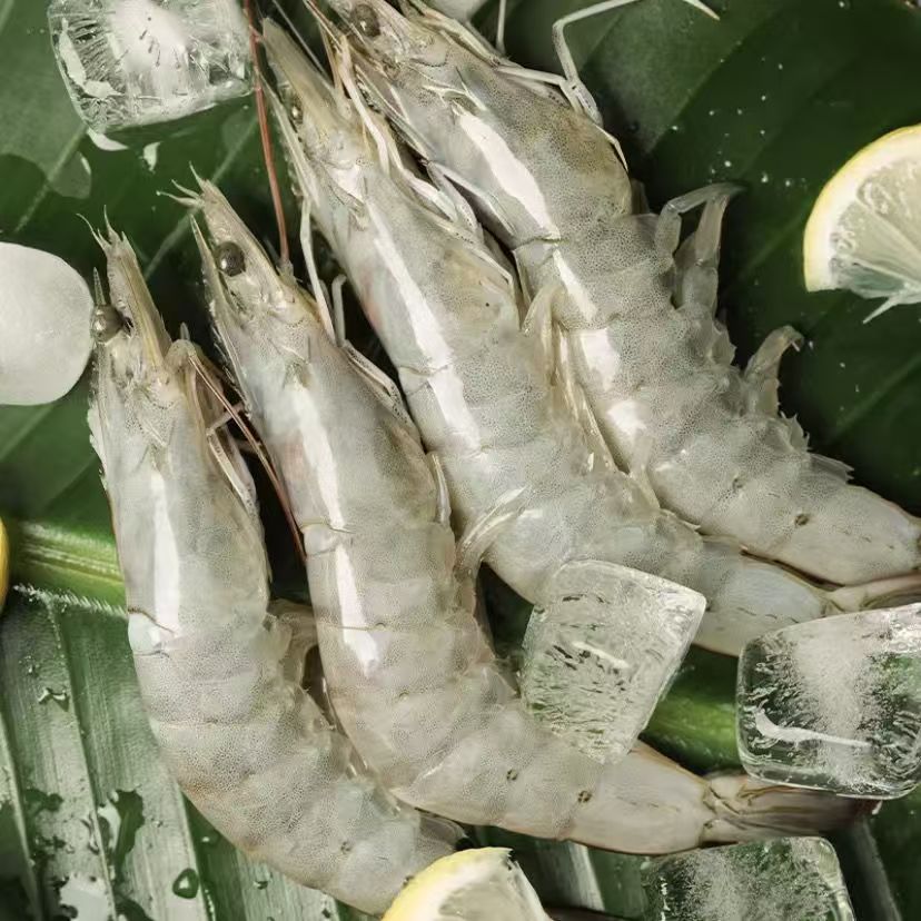 海水大虾5斤 速冻锁鲜 13-17cm 冷链发货 12-16只/斤 到手5包